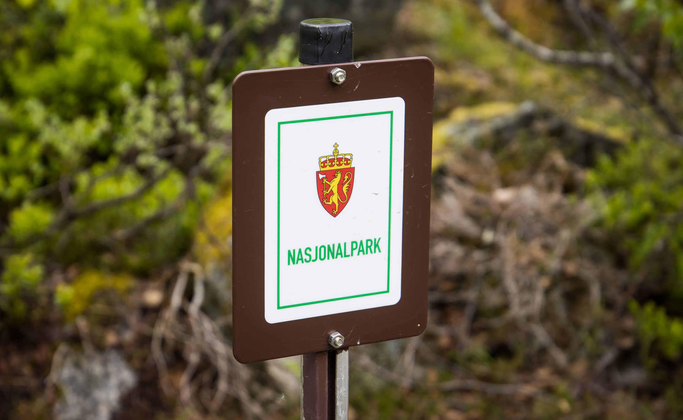 National park_sign-1.